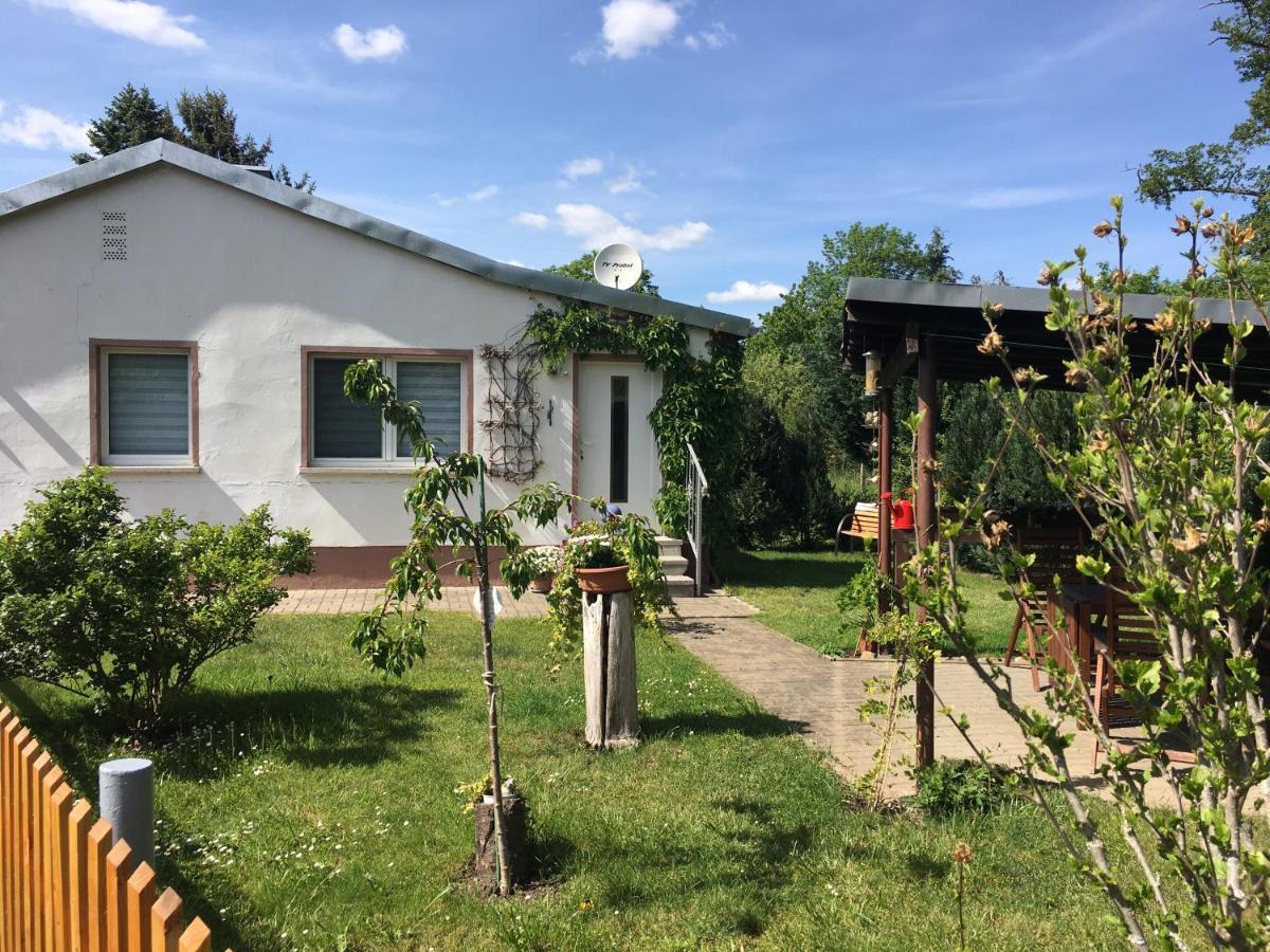 Ferienhaus An Der Selke Meisdorf Exterior photo